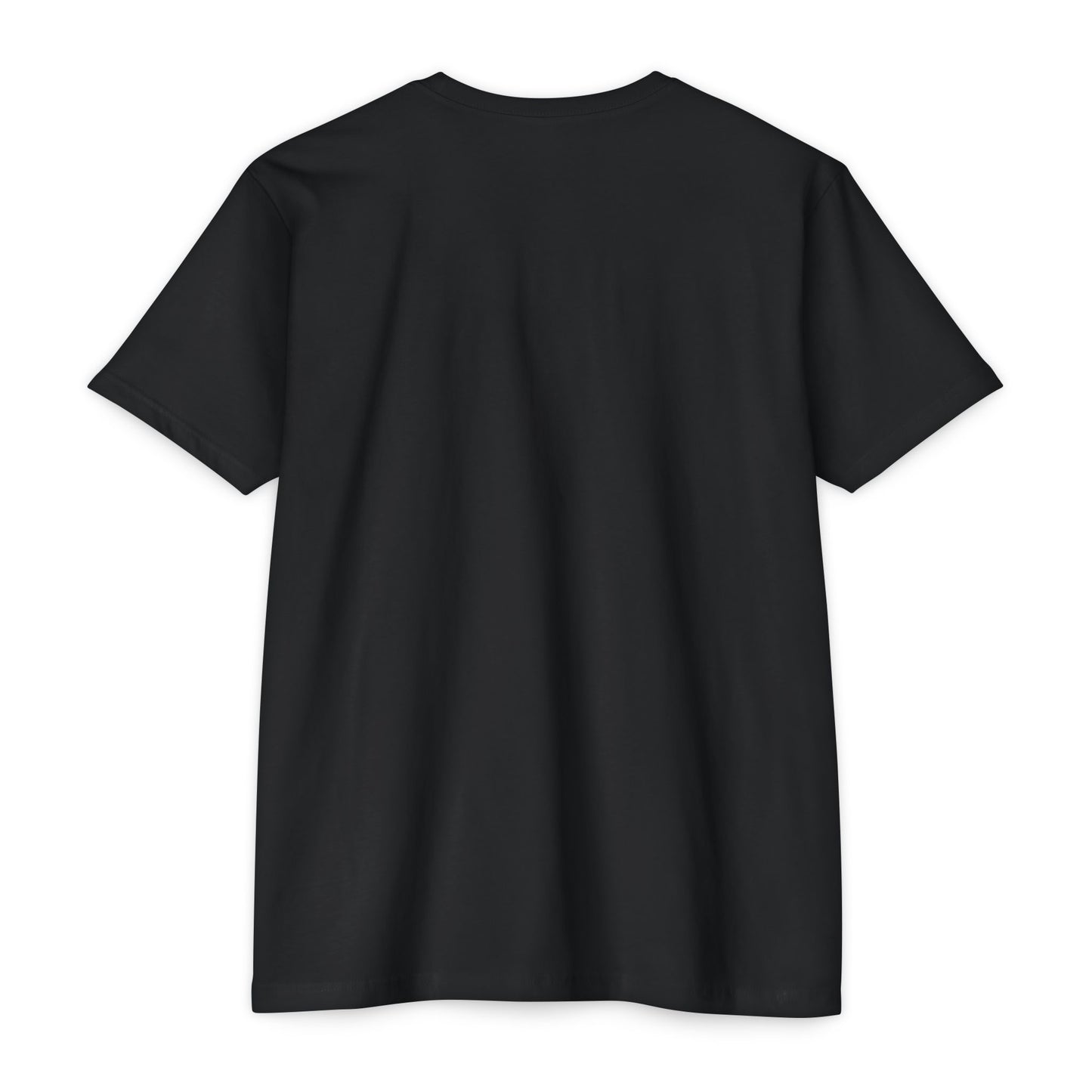Unisex Fitness T-Shirt - The Fit Effect, Workout Tee, Gym Shirt, Casual Wear, Fitness Gift, Motivational Apparel